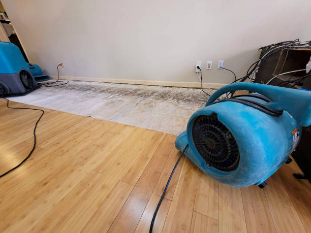 Professional Ceiling Water Damage Repair technician working in Dexter, ME